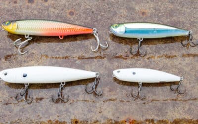 Rapala Precision Xtreme Pencil