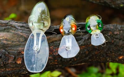 Molix Sculpo Crankbait Serie