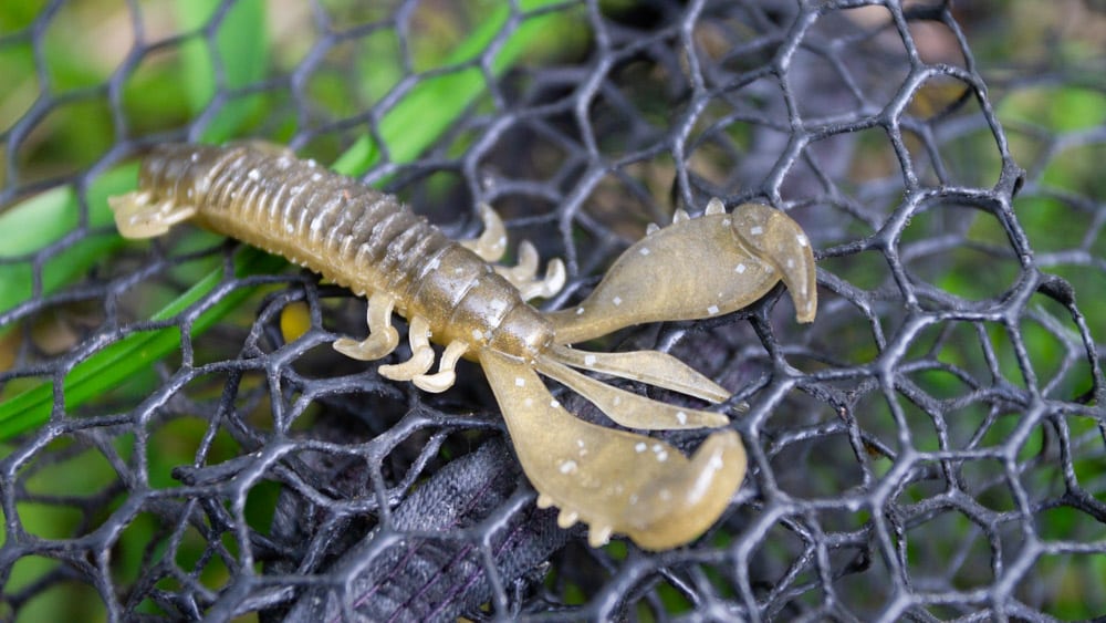Deps MS Craw deps ms craw 0496 2