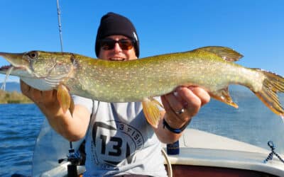Noike SLT Minnow