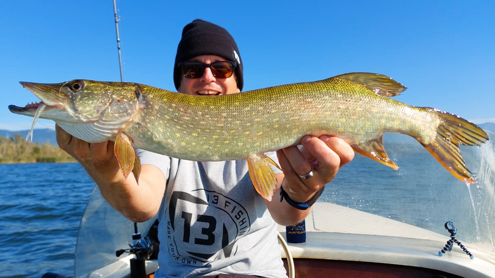 Noike SLT Minnow hecht chatterbait tinykaishin 154314 2