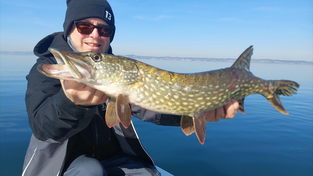 Swimbait Starterkits hecht swimbait bodensee 6