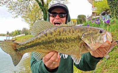 Keitech Swing Impact Fat