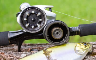 Shimano Tranx B 301
