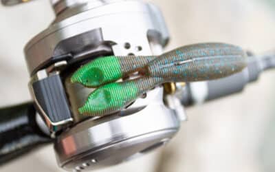Daiwa Steez Stirring Twin