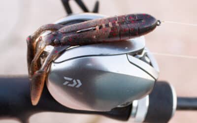 Keitech Glide Camaron