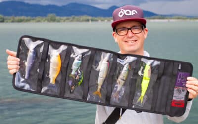 Molix Roll Up Lure Bag