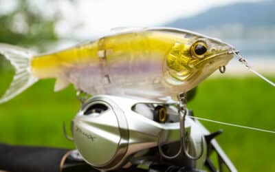 Shimano Gravitator 220 SF