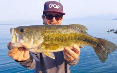 BFS Big Bass