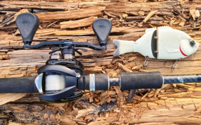 Swimbaits – Mindset, Tackle und Technik