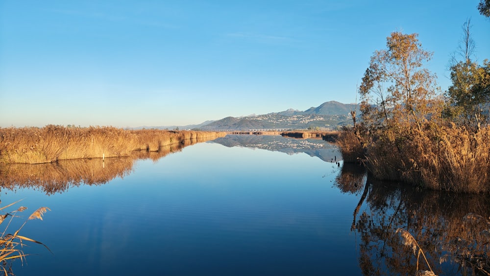 Angelgewässer in Norditalien lago di massaciuccoli 2