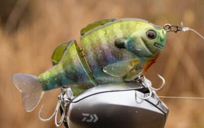 Bluegill Swimbaits