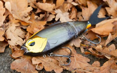 LMAB KØFI Real Vibe 180