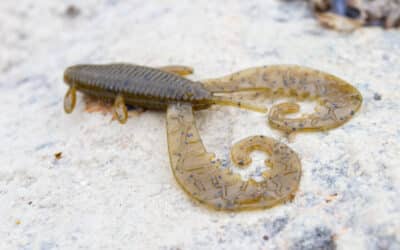 Reins G-Tail Twin Grub