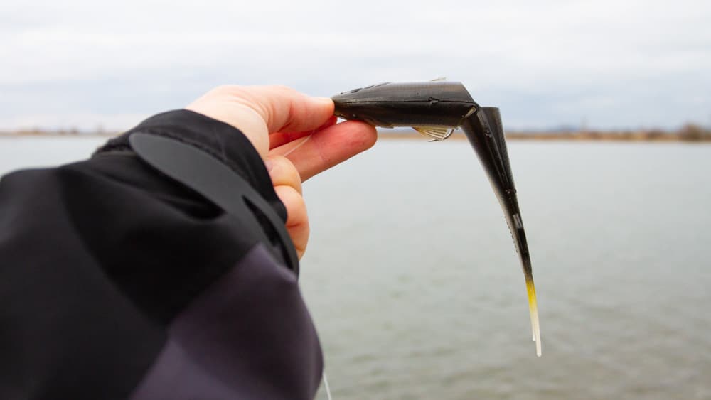 Megabass Ayu Twitcher megabass ayu twitcher 5432 2