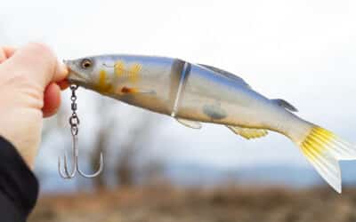 Megabass Ayu Twitcher