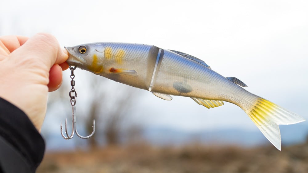 Megabass Ayu Twitcher megabass ayu twitcher 5438 2