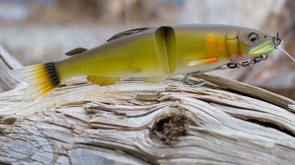 Megabass Ayu Twitcher megabass ayu twitcher 5459 2