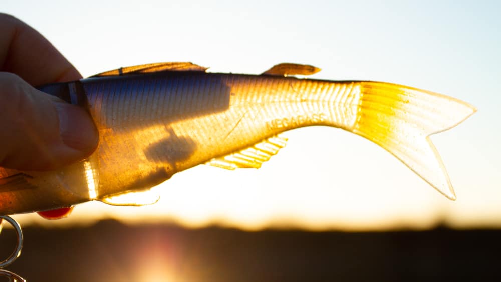 Megabass Ayu Twitcher megabass ayu twitcher 5568 2