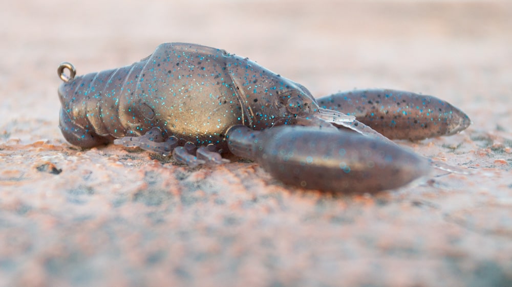 Megabass Sleeper Craw megabass sleeper craw 5753 2