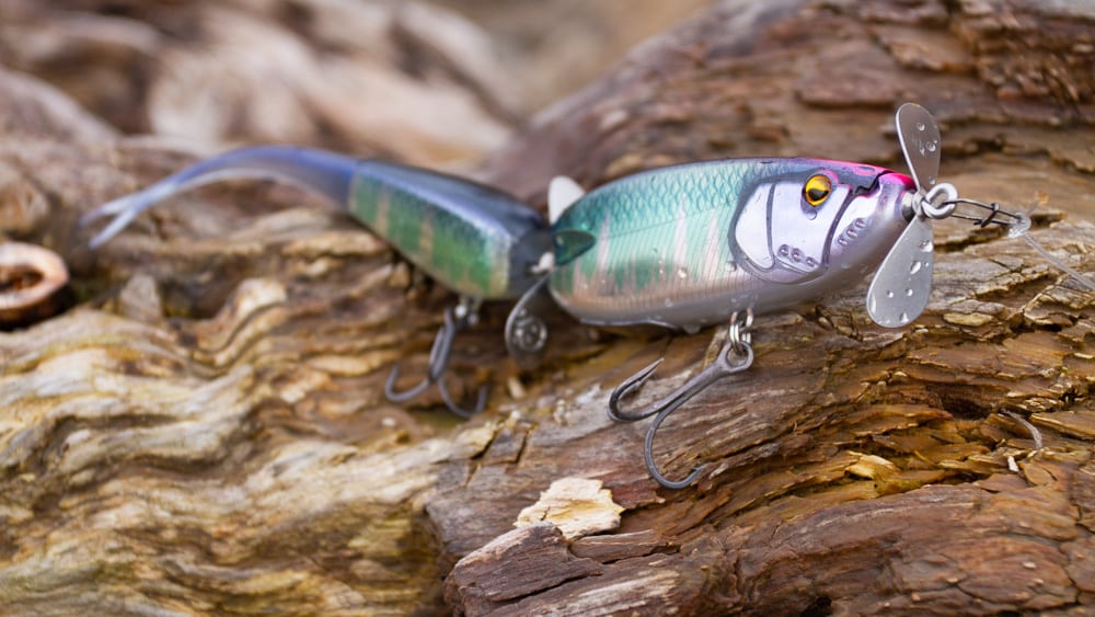 Raid Japan Double Header