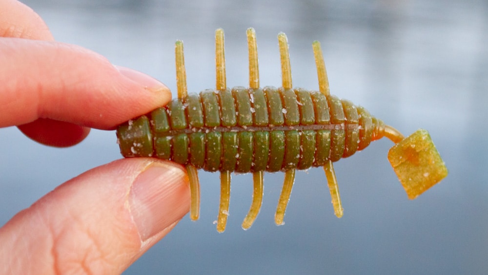 No Sinker Rig Köder Guide valleyhill ebi tank 4603 2