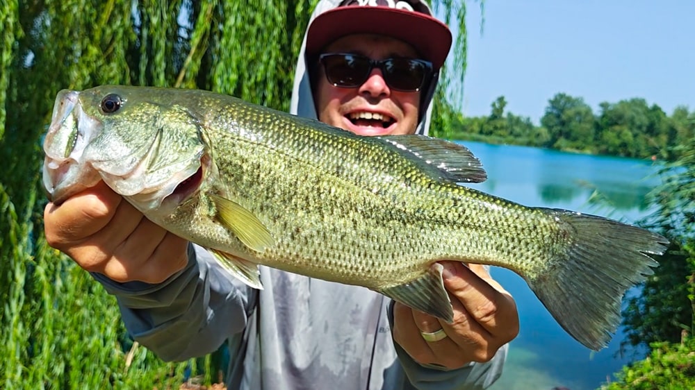 Megabass Sleeper Craw bass atlantide 083609 2