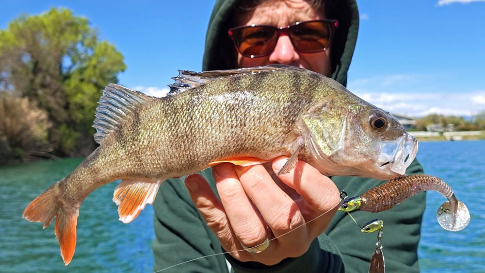 VMC Twin Jig vmc twin jig 11