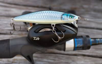 Rapala Flat Rap