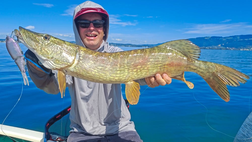 Kaesu Ohira pike bodensee 2 6