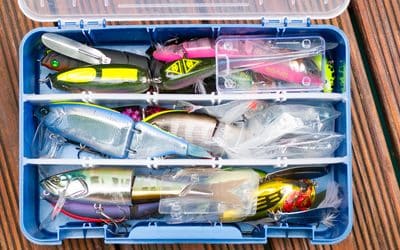 Swimbait Transport Optionen